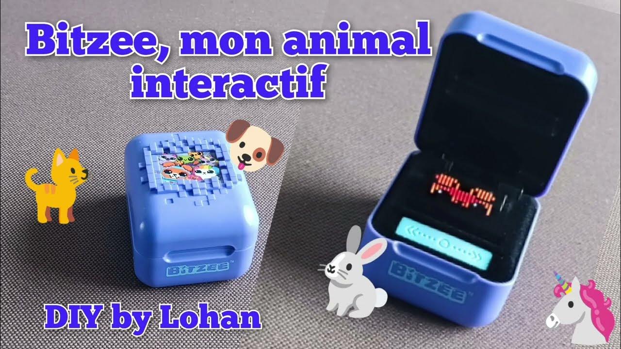 bitzee mon animal interactif ~ Lohan 