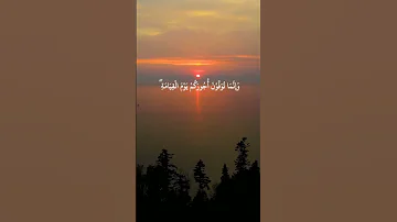 كل نفس ذائقة الموت الشيخ ياسر الدوسري تلاوة مؤثرة ياسر الدوسري Quran 