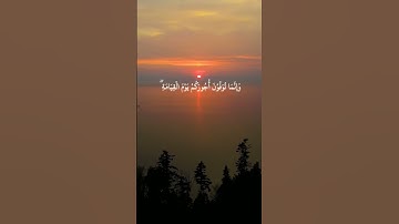 كل نفس ذائقة الموت الشيخ ياسر الدوسري تلاوة مؤثرة #ياسر_الدوسري #quran