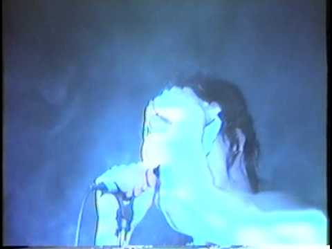 Skinny Puppy Smothered Hope live from current tour - Chaos Control  Digizine