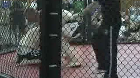 XMMA - Josh Fealy vs Charlie Arms (Round 1)