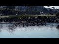 LMU Women's Rowing | Marina Del Rey Living
