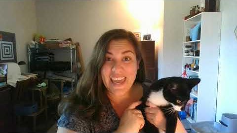 ds106 Introductions!