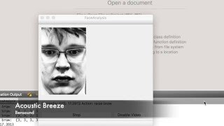 Real-Time Face Analysis Demo Week 2