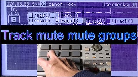 Track mute mute groups (MPC1000 & MPC2500)