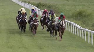 Vidéo de la course PMU GRAND PRIX DE LA COLLECTIVITE TERRITORIALE DE MARTINIQUE 2020