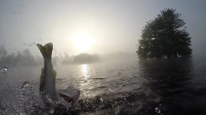 Topwater Bass Fishing Blowups 5 - Big Bass Attack Frogs.