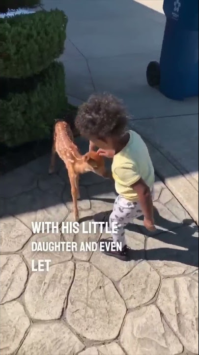 This little girl became best friends with a baby deer 😂❤️