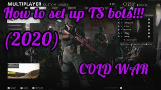 How to set up TS bots in COD COLD WAR (tutorial)