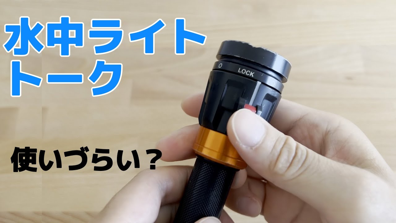 DiveExtreme ダイブエクストリーム ダイブライト DL1001 LED BlueFire 