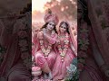 🌼💗🥹#viralvideo #recent #love #trendingshorts