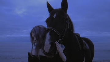 Fragile World (Official Music Video)