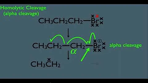 Mass Spectrometry Fragmentation Part 1