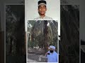 Imaan taaja ho jaega 😨#montagem #mhacommunity#storytelling#mashallah #islamicstatus #fypシ゚viral#aa23