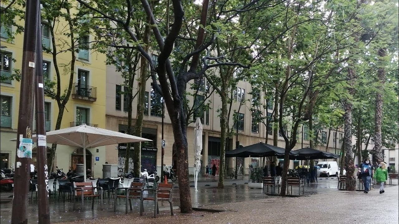 ✅  Detenido por asesinar a su pareja en el barrio del Raval en Barcelona