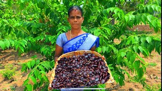 Tamarind Seeds Masala Vadai | Crispy & Spicy South Indian Snack |Village Mom Recipe  screenshot 3