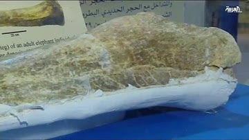 هيئة المساحة الجيولوجية السعودية تعلن عن آخر اكتشافاتها