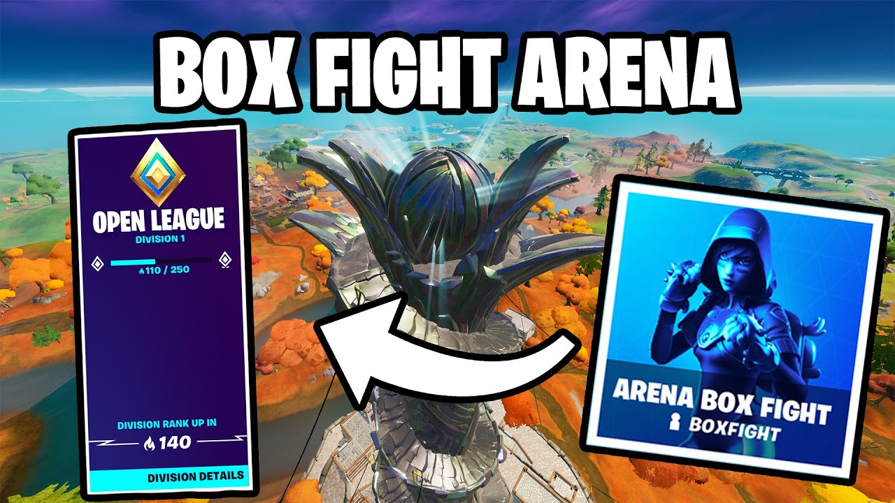 NEW Box Fight Arena EXPLAINED! | Scoring, Bracket, and Glitches - YouTube