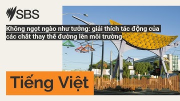 Không ngọt ngào như tưởng: giải thích tác động của các chất thay thế đường lên môi trường | SBS...