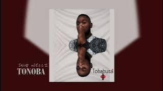 Sniq Wellz - TONOBA (Audio Visualiser)