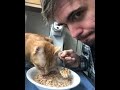 😺 Shameless cats! 🐈 Funny video with cats and kittens! 😸