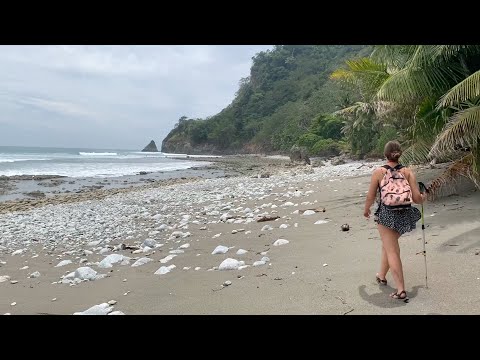 Video: Documentarul Promovează Călătoriile Conștiente în Costa Rica 