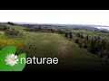 Stunning Landscapes Of Waterton National Park - The National Parks Project - 103 - Waterton
