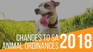 SA Animal Care Services: New Animal Ordinances (ENG)