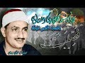 سورة فصلت 30 46 بالمسجد الاقصى للشيخ محمد صديق المنشاوي نسخة بدون صدى