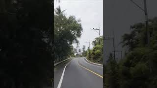 Riding Through a Peaceful Road | No Traffic, Just Nature & Freedom
