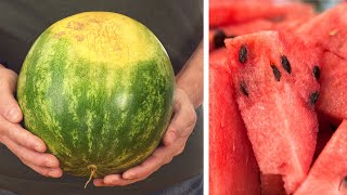 Download Lagu How To Pick a Sweet Watermelon Every Time MP3 Download Lagu How To Pick a Sweet Watermelon Every Time MP3