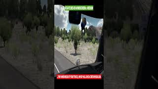 Realism Enhanced to your Trucks Windscreen... #ats #topmods #top5mods