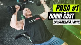 Prsa Horní Část Hrudníku. Zaostávající Partie, Která Jde Lidem Nejhůř. Cviky, Chyby, Technika.