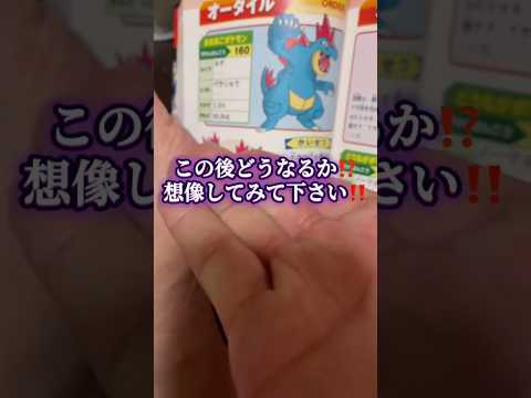 #オーダイル #ポケモン#ポケモンgo