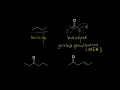 Nomenclature of aldehydes and ketones | Aldehydes and ketones | Organic chemistry | Khan Academy