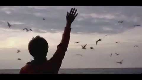 سوره القدر بصوت عذب