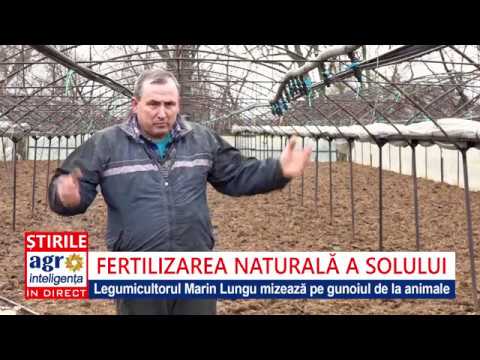 Video: Care are cel mai mare efect asupra formării solului?