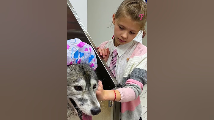 Girl’s compassion turns foul dog into cute furry friend #shorts