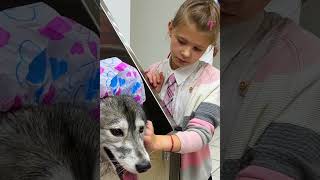 Thumbnail for Girl’s compassion turns foul dog into cute furry friend #shorts