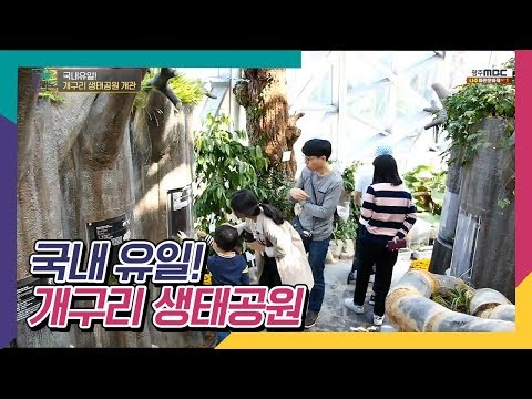 국내 유일 개구리 생태공원을 찾아 담양으로 떠나다! [오매전라도]