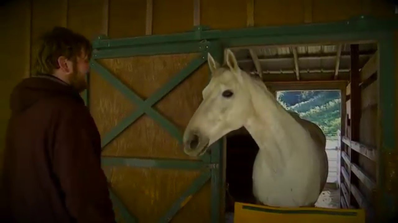 horse racing news Clever Cecil Teaching Students at Square Peg