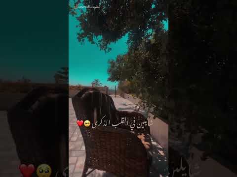 شايلين في القلب الذكرى 