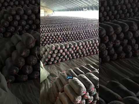 لن تصدق كيف يحول هؤلاء المزارعون روث الأبقار لتحقيق الأرباح