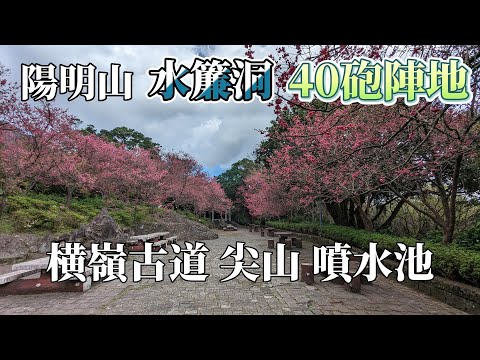 陽明山五星級步道 橫嶺古道 水簾洞秘境 尖山 40砲陣地 陽明公園賞櫻花 走路上陽明山觀瀑