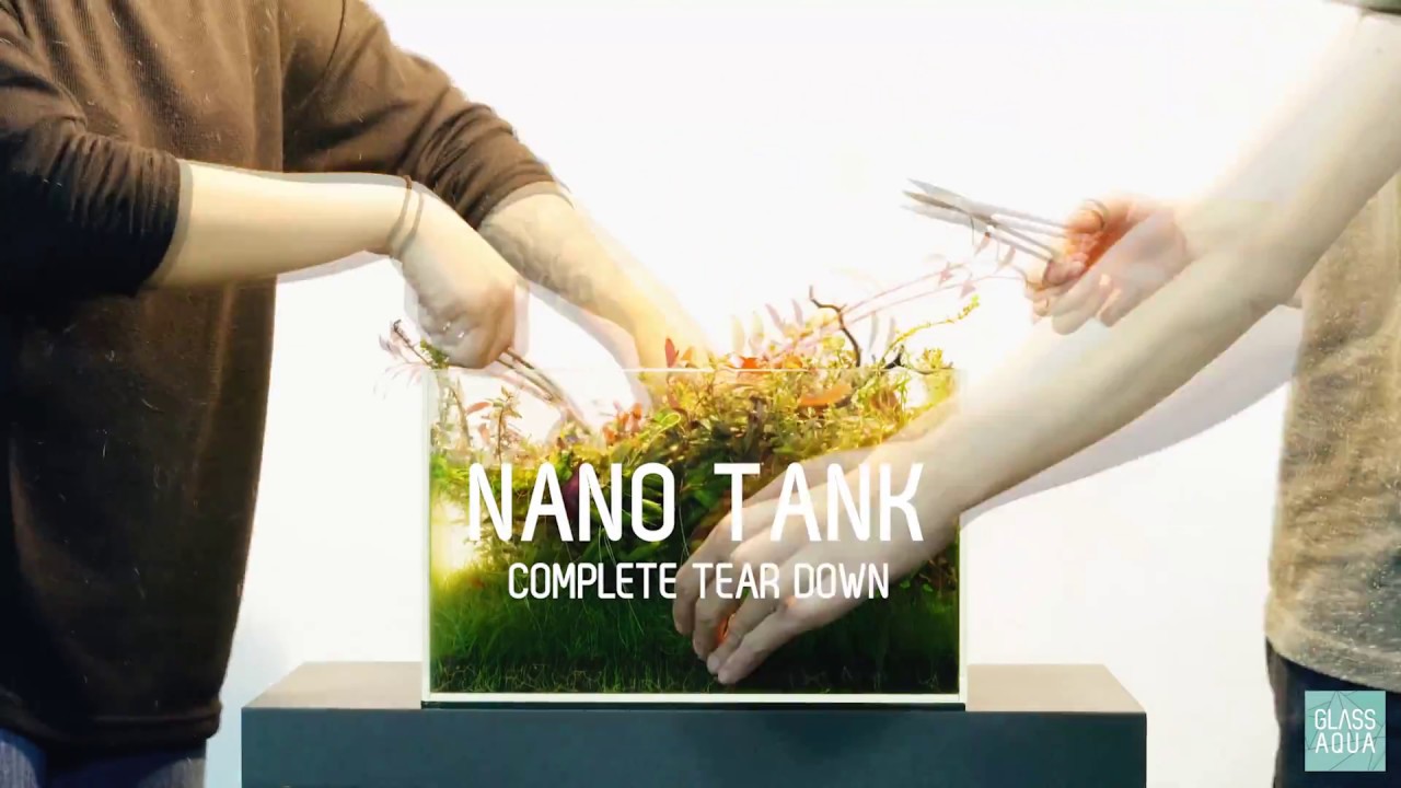 Ultum Nature Systems 5N Nano Aquarium - 5 Gallon Tank Tear Down