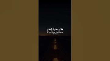 اكتب شيء تؤجر عليه 😴🩶 / القارئ ياسر الدوسري | قران كريم