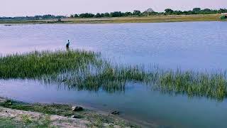 Hidden Beauty of Chilika Lake