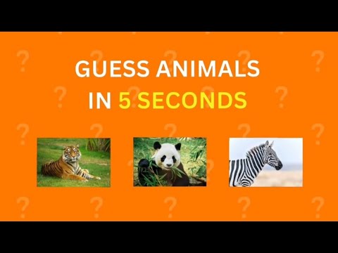 Guess the Animals 🐾 | Fun Animal Quiz for Kids - YouTube