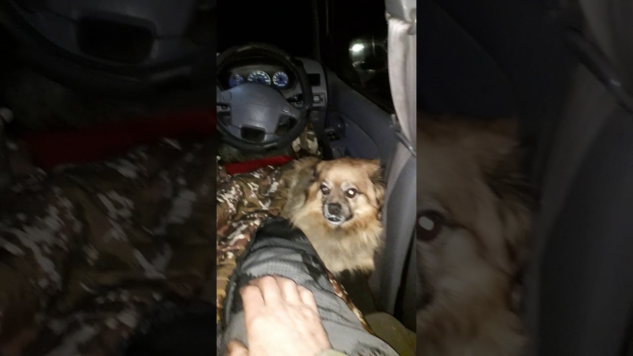 Нычки в машине