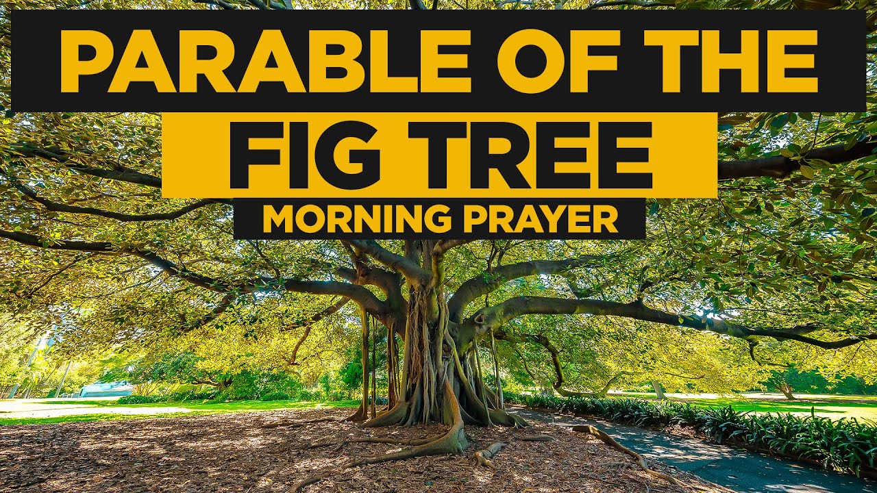Get Right With God and Pay Attention To His Word | A Blessed Morning Prayer To Begin Your Day
